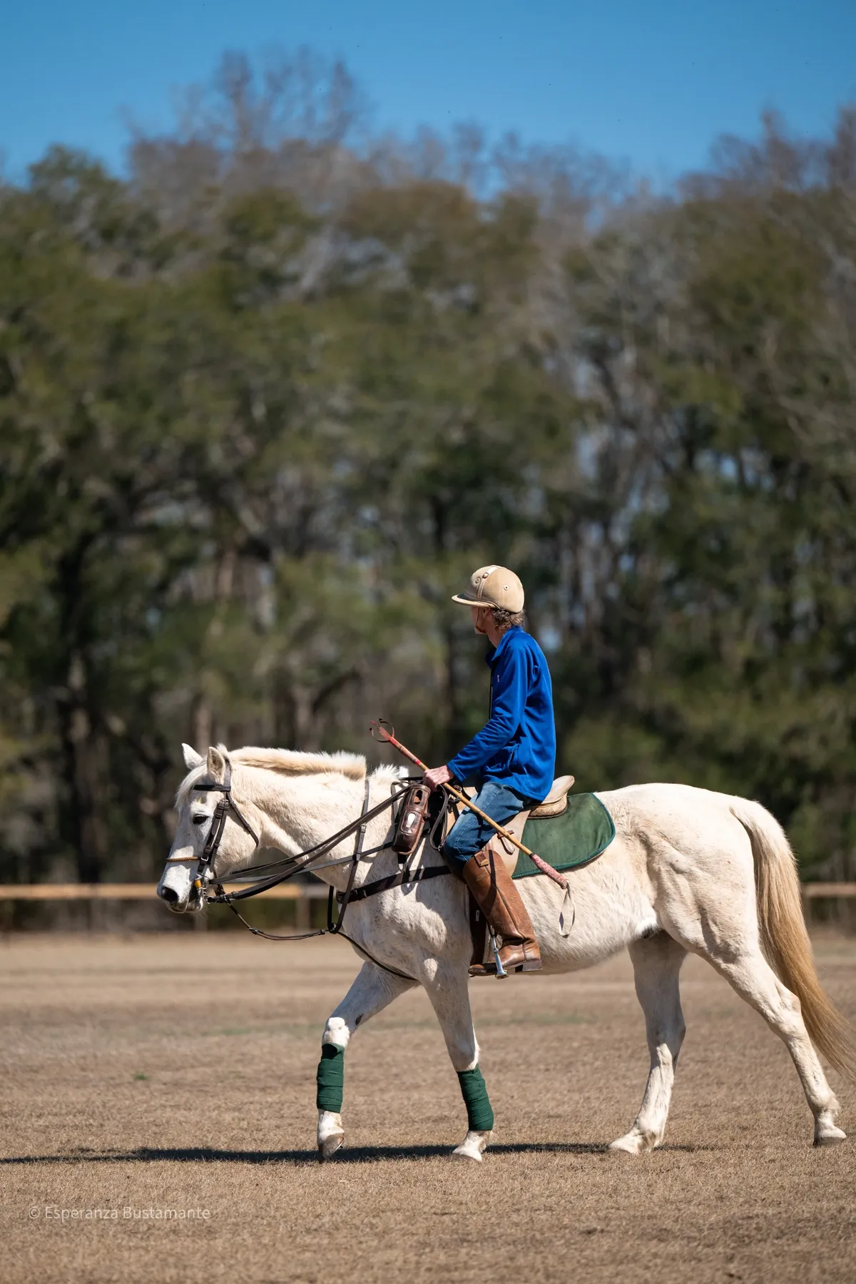Rider in blue jacket on white horse on the polo field